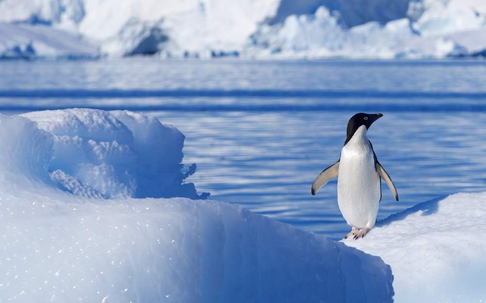 The Coldest Places on Every Continent BootsnAll