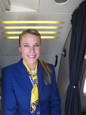 southafricanattendant
