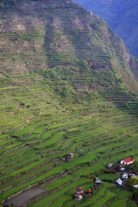 batad-rice-terraces-philippines1 batad-rice-terraces-philippines1