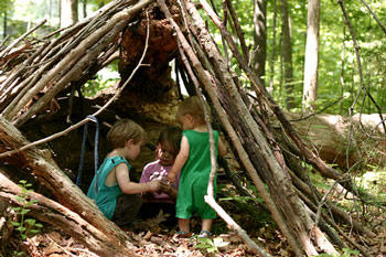 intheforest