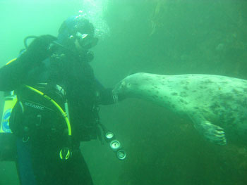 alaskadiving