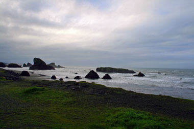 oregoncoast_sararossini