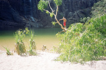 wateringhole