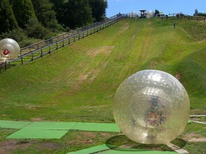 zorbing zorbing
