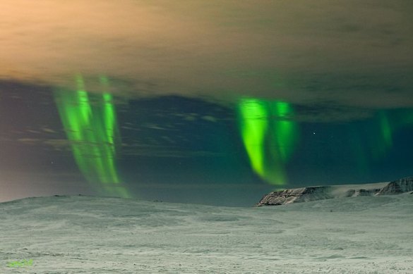 aurora aurora
