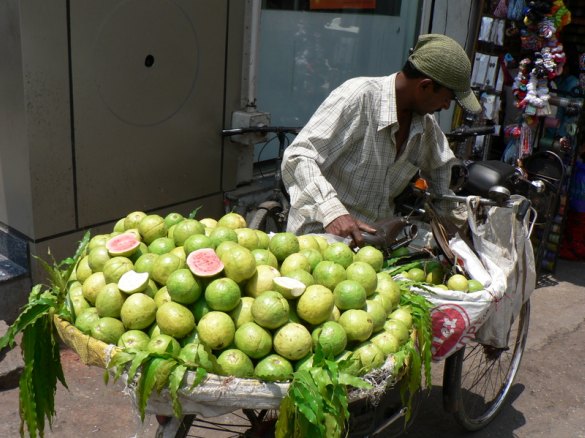 guavas guavas
