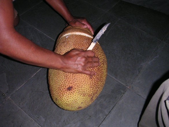 jackfruit jackfruit