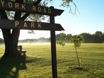 mistypark350