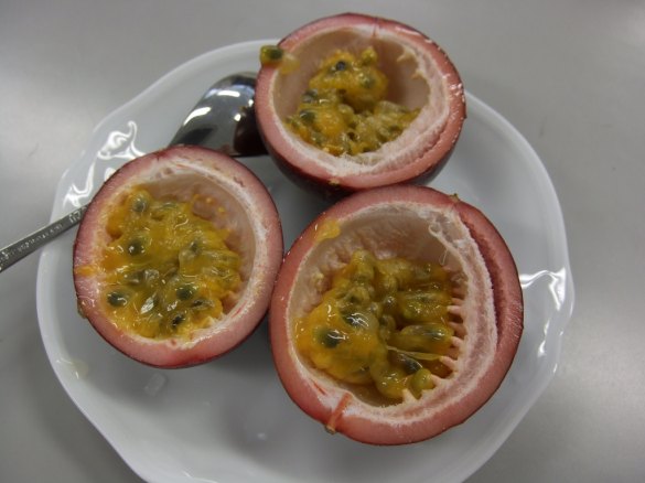 passionfruit passionfruit