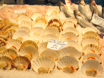 venicefish