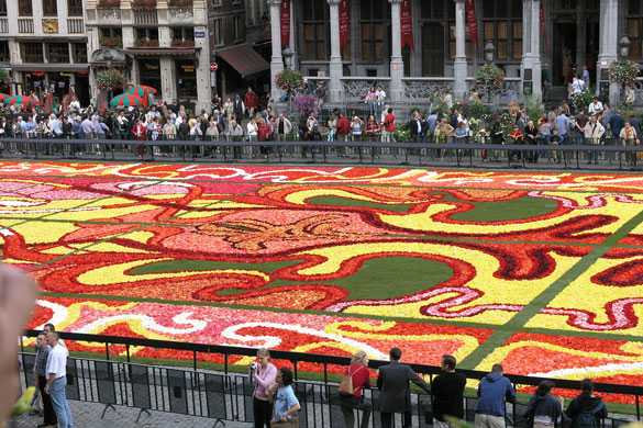 Carpet Carpet