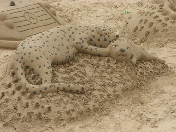 SandCats SandCats
