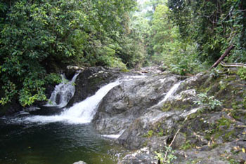 borneo-jungle-waterfall350