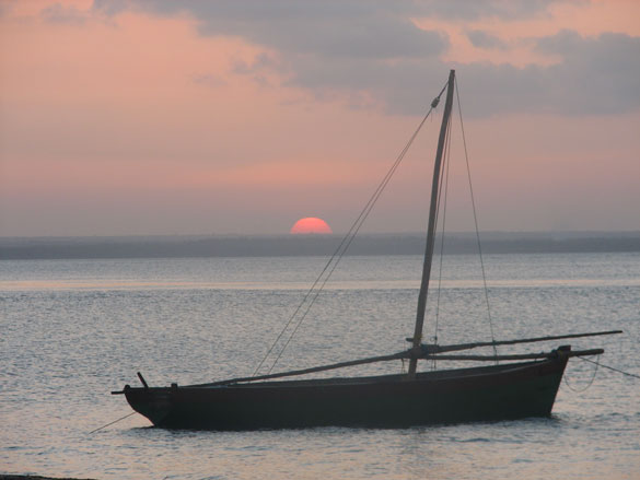 IboMozambique IboMozambique