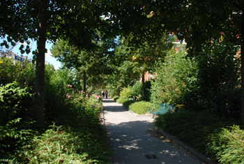 PromanadePlantee