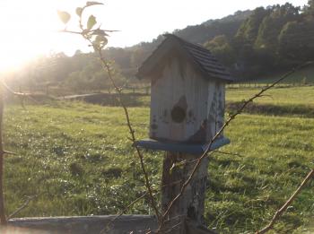 A View Of The Farm