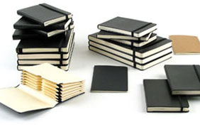 moleskines300