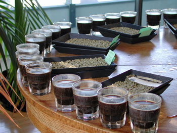 Coffee