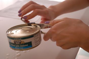 Tuna fish is a great source of protein