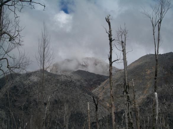 Volcán Chaiten with destroyed trees Volcán Chaiten with destroyed trees