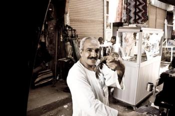 Fancy a live chicken? Fancy a live chicken?