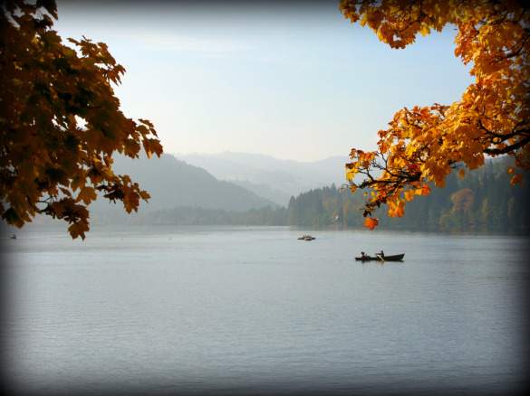 vanita_5 Lake Titisee, Black Forest