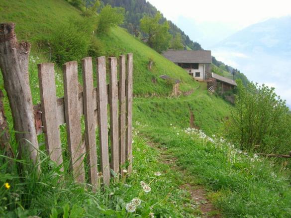 Hiking up the mountain above Dorf Tirol