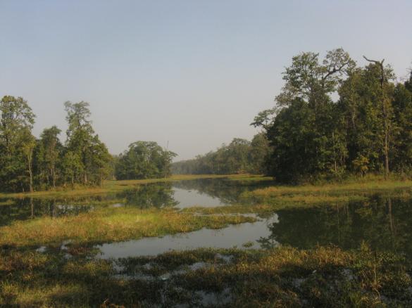 Lake in the community forest