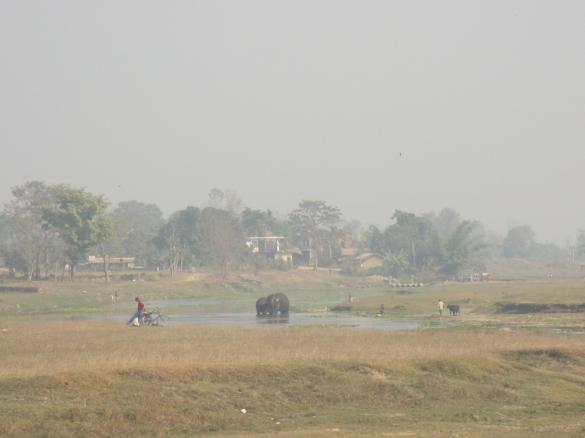 View from our room's deck at Sapana Village Lodge