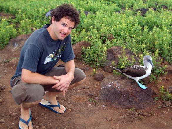 boobies Hanging with blue-footed boobies in the Galapagos
