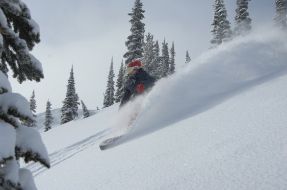 Susie_Baldface_DaveThomas_027 Susie_Baldface_DaveThomas_027