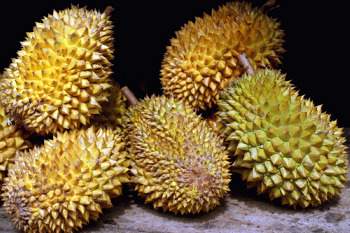 Spiky Yellow Fruit