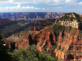 gcanyon