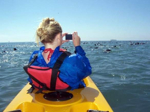KayakingInSwakopmund KayakingInSwakopmund