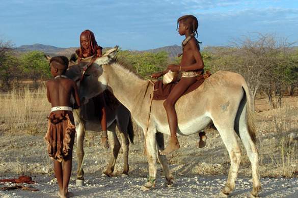 himba himba