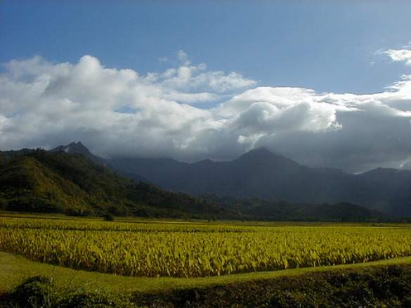 thank you letter after interview email. Thank+you+email+after+