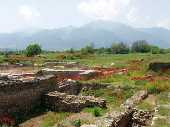 vergina vergina