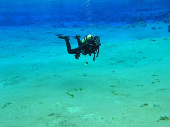 Andrew diving_picnik