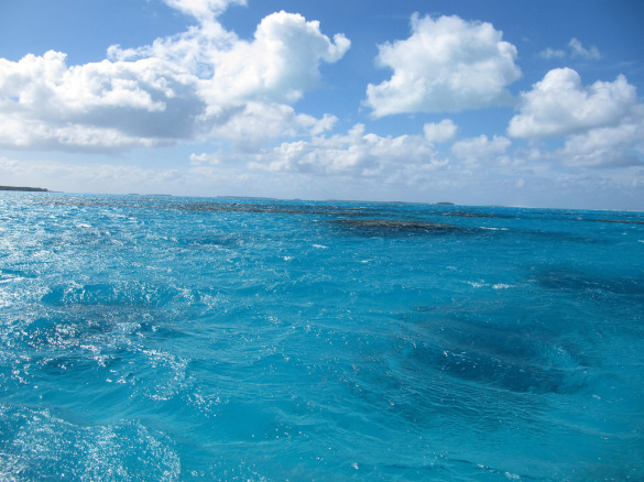 fiji