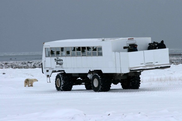 A Tundra Buggy A Tundra Buggy