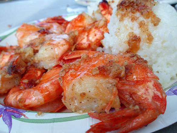 shrimp2