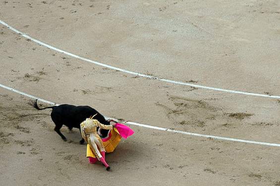 Bullfighting