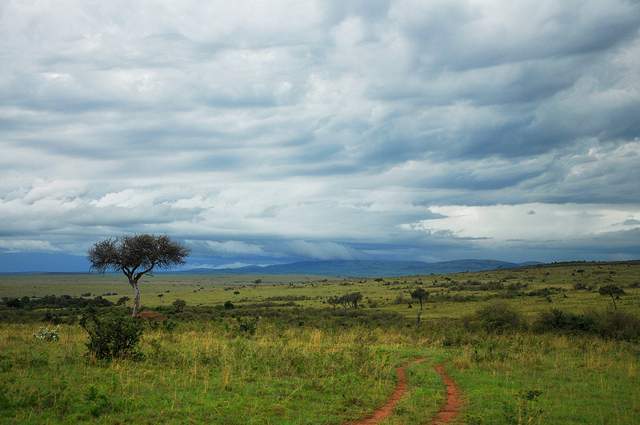 Masai Mara