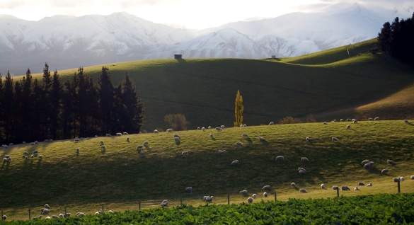 New Zealand 2811