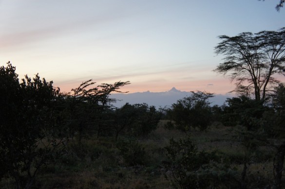 Sunrise uder Mt. Kenya Sunrise uder Mt. Kenya