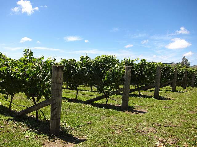 nz wine hotel