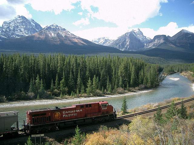 rockies811zc