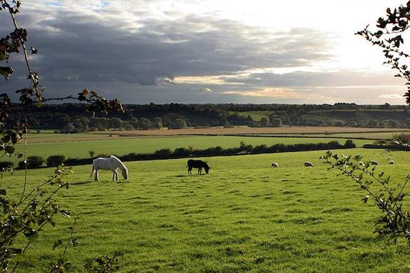 7 - Ireland