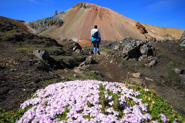 walkingiceland