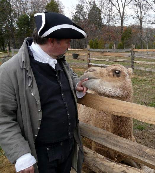 Aladdin the Camel and his colonial handler at historic Mount Vernon.